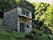 Monte Suchello (1541 m) ad anello via Passo Barbata (1312 m) da Costa Serina il 25 giugno 2022  - FOTOGALLERY